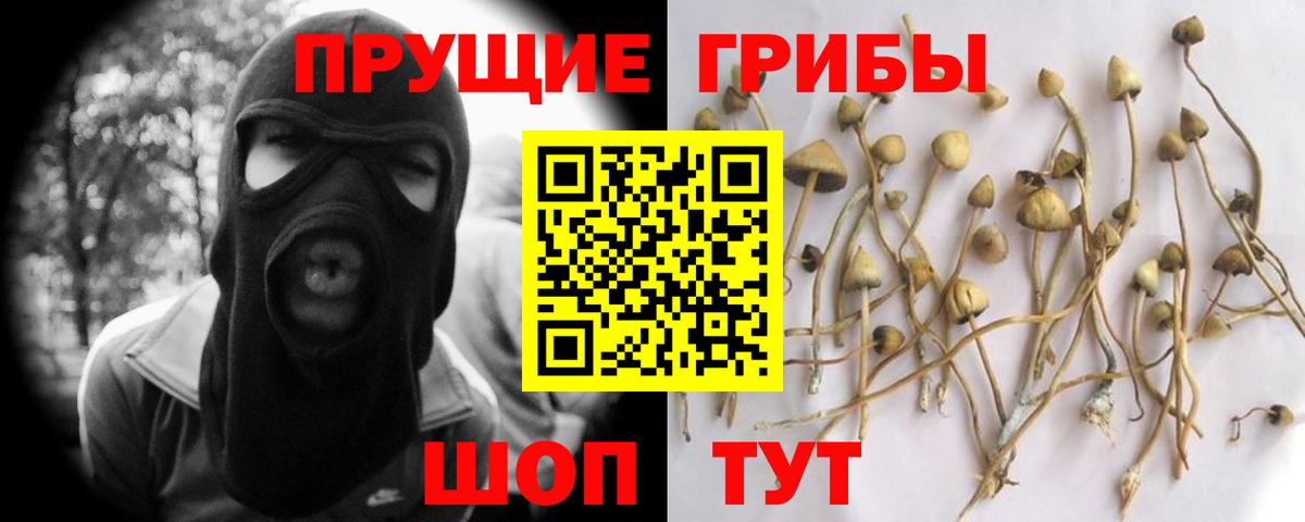 Галлюциногенные грибы Magic Shrooms  Вход с VPN  Богородск 